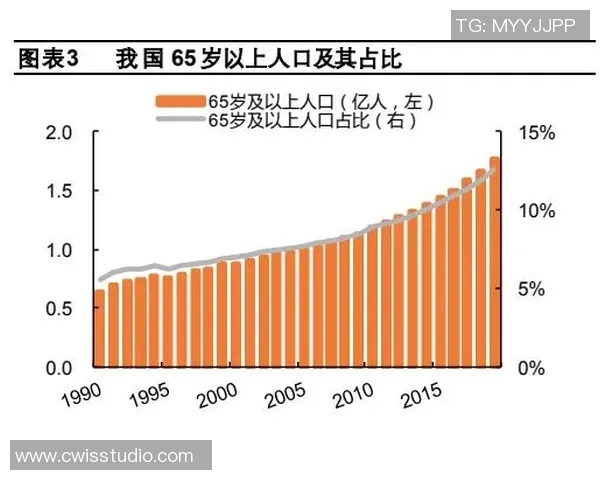 越甲足球的崛起与发展探讨及其对越南体育文化的影响分析
